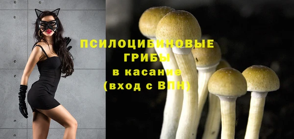 дживик Алексин