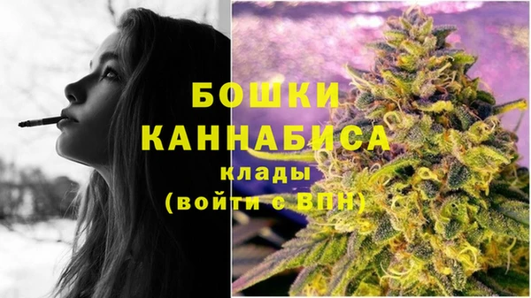 тгк Пролетарск