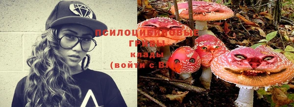 гашик Алексеевка