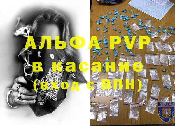 гашик Алексеевка