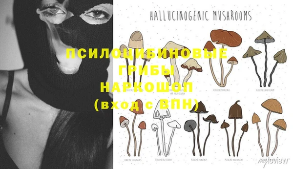 гашик Алексеевка