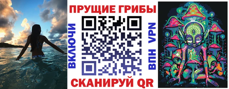 Псилоцибиновые грибы GOLDEN TEACHER  купить  цена  Куса 